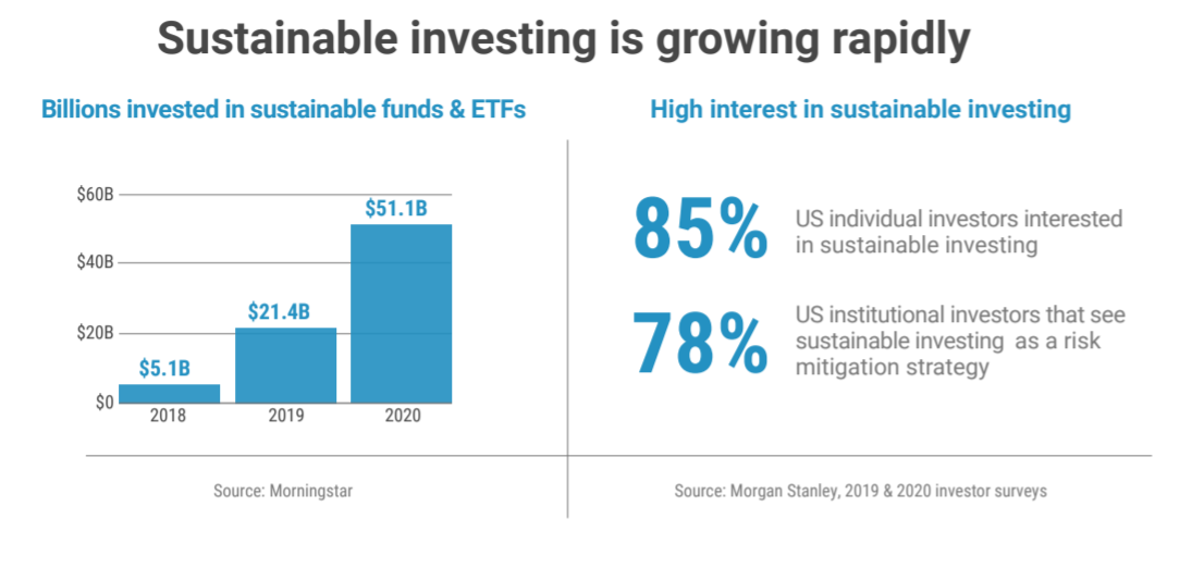 Assets in Sustainable Funds are Growing Fast